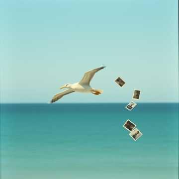 Whispers by the River