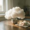 Cotton Sky of Us Between