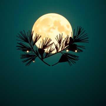 Collision in Moonlit